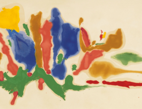 CCAC receives Implementation Grant as part of the Frankenthaler Climate Initiative
